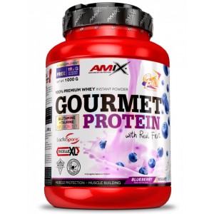 Комплексний протеїн зі шматочками фруктів (Сироватковий концентрат + Казеїн), Amix, Gourmet Protein - 1 кг