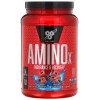 Незаменимые аминокислоты, BSN, Amino X - 1,01 кг