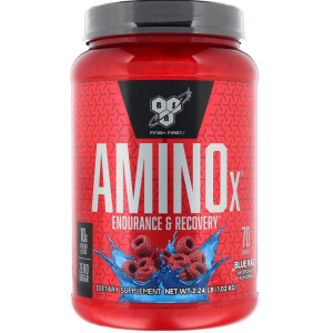 Незамінні амінокислоти, BSN, Amino X 1,01кг - блакитна малина