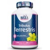 Трибулус террестріс 1000 мг, HAYA LABS , Tribulus Terrestris 1000 мг - 100 таб