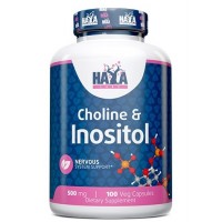 Холін і  Інозітол, Haya Labs, Choline & Inositol - 100 веган капс