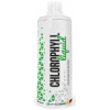 Хлорофіл рідкий, MST, Chlorophyll Liquid - 1л