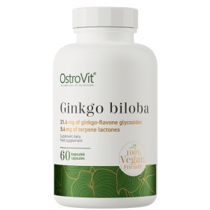 Гінко Білоба рослинний екстракт, OstroVit, Ginkgo Biloba - 60 капс