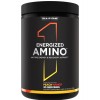 Энергетический аминокомплекс, Rule 1, Energized Amino - 270 г